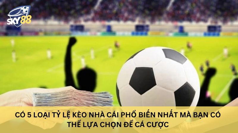 Các loại tỷ lệ kèo nhà cái