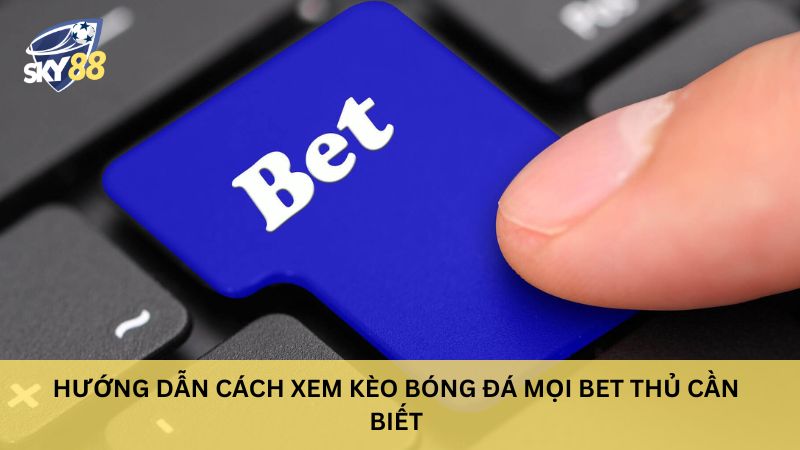 Hướng Dẫn Cách Xem Kèo Bóng Đá Mọi Bet Thủ Cần Biết