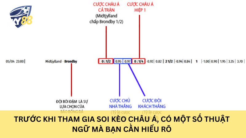 Thuật ngữ trong kèo châu Á