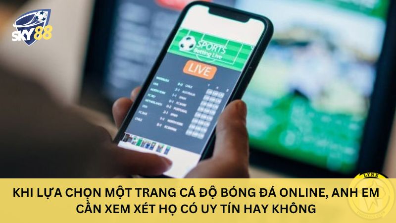 Tiêu chí đánh giá trang cá độ bóng đá uy tín