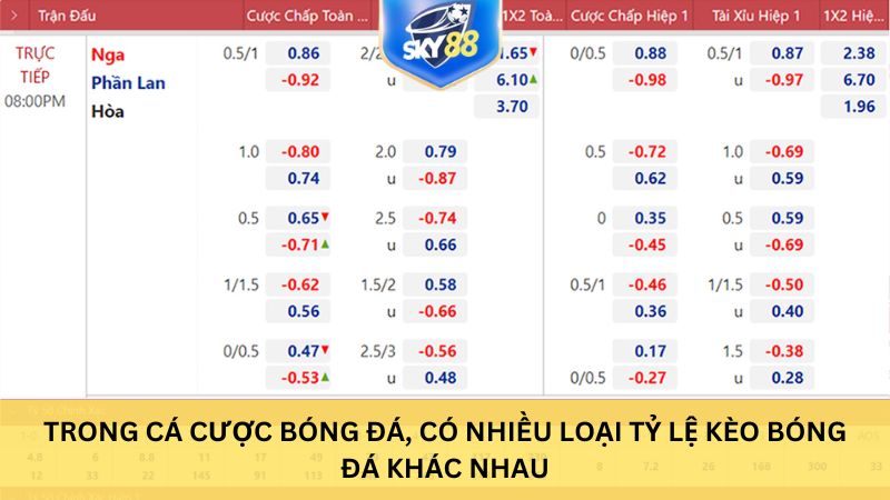 Trong cá cược bóng đá, có nhiều loại tỷ lệ kèo bóng đá khác nhau