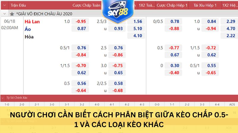 Người chơi cần biết cách phân biệt giữa kèo chấp 0.5-1 và các loại kèo khác