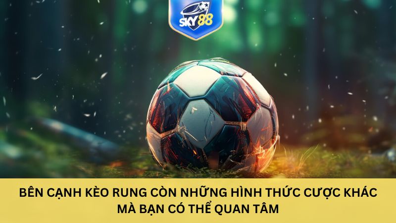 Bên cạnh kèo rung còn những hình thức cược khác mà bạn có thể quan tâm